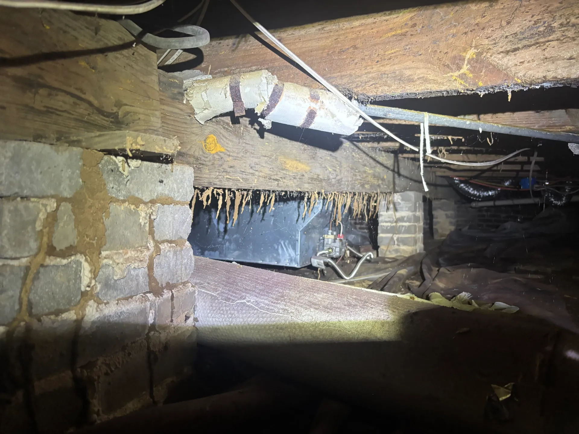 Termite shelter tubes at a Hoover, Alabama property.